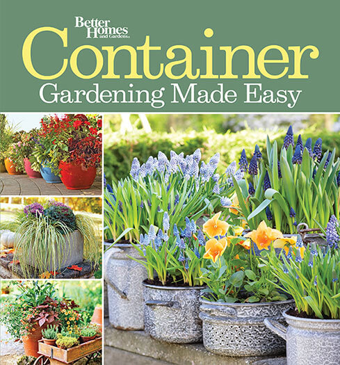 Container Gardening Made Easy