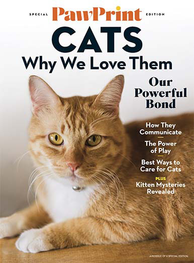 PawPrint: Why We Love Cats