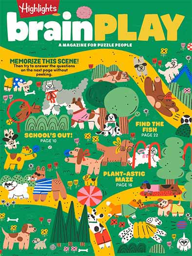 Highlights Brainplay Magazine Subscription