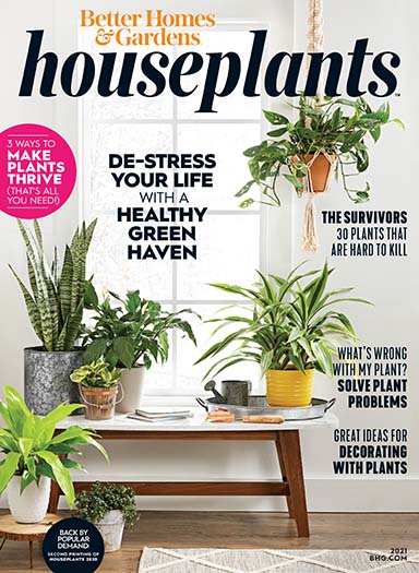 Better Homes & Gardens: Houseplants Issue