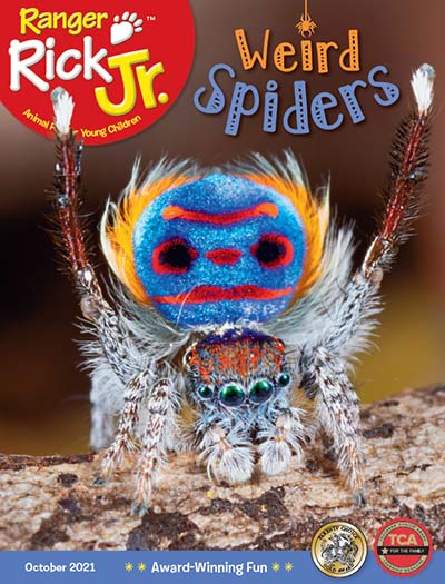 Ranger Rick Jr. Magazine Subscription