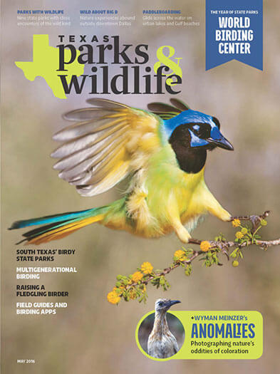 Texas Parks & Wildlife Magazine Subscription