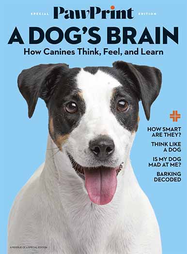 PawPrint: A Dog's Brain
