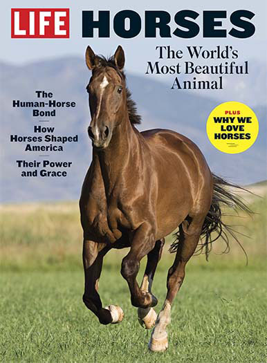 LIFE: Horses