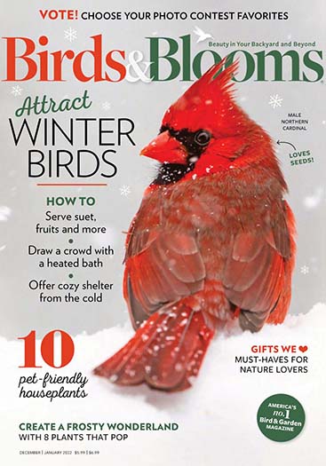 Birds & Blooms Magazine Subscription
