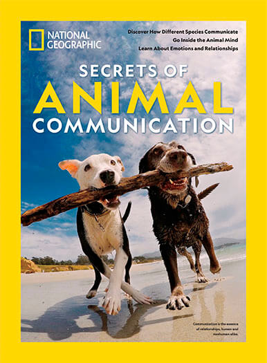 National Geographic: Secrets of Animal Communication