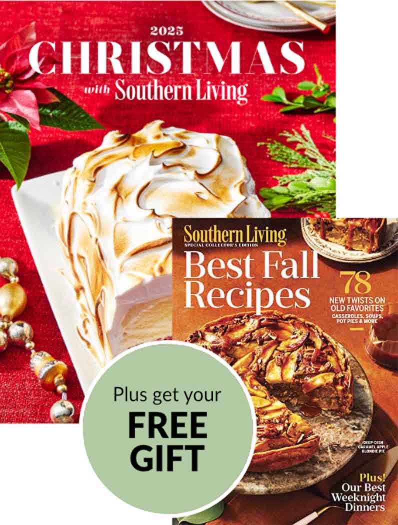 Christmas with Southern Living 2025 Series