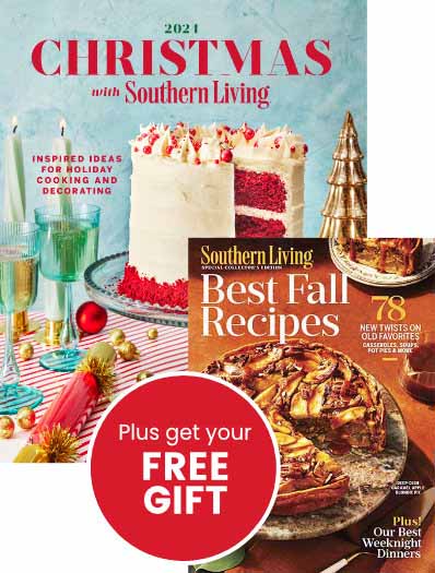 Christmas with Southern Living 2024 Series