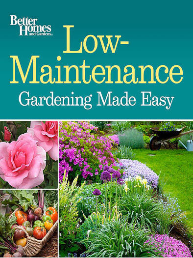 Low-Maintenance Gardening Made Easy Issue