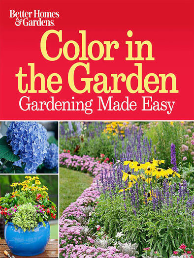 Color in The Garden Magazine Cover