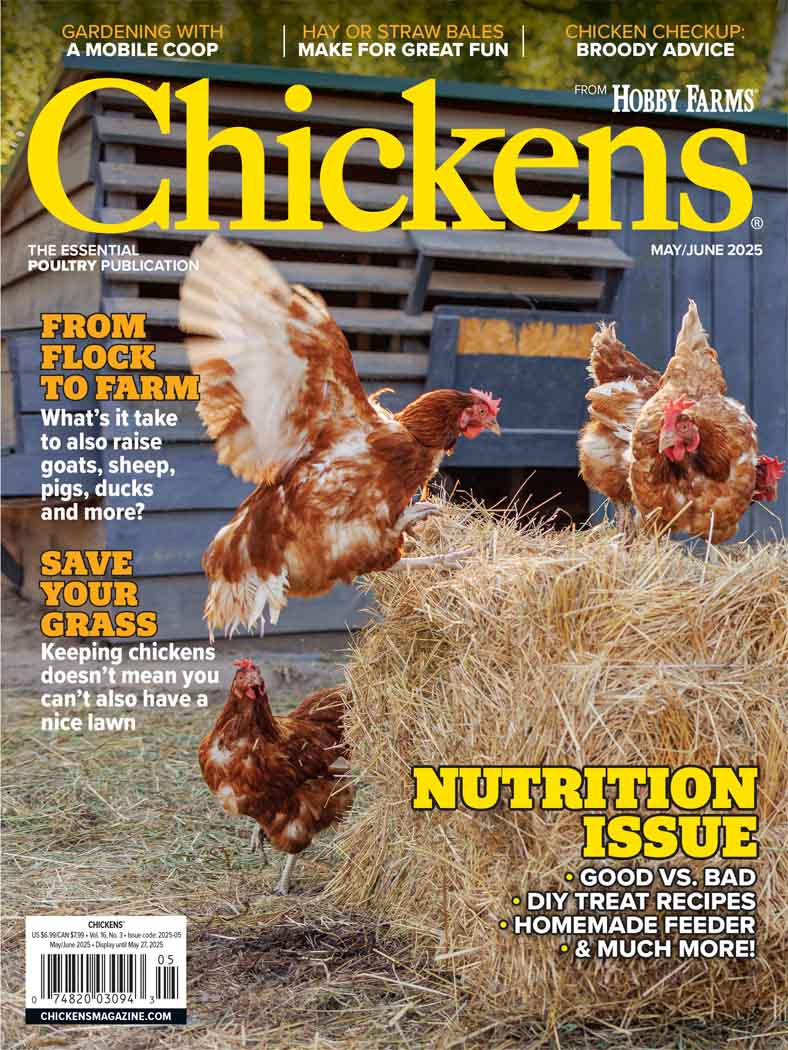 Chickens Magazine Subscription