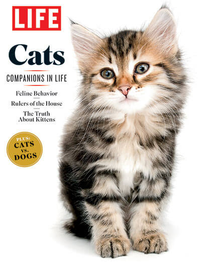 LIFE: Cats Magazine