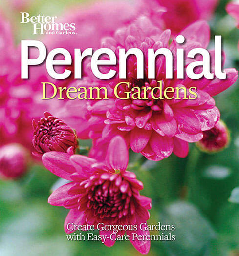 Perennial Dream Gardens Magazine