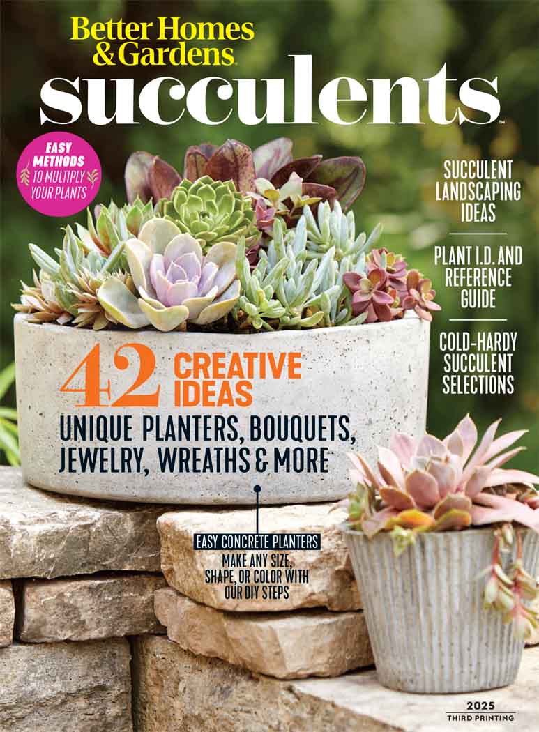 Better Homes & Gardens: Succulents 2025